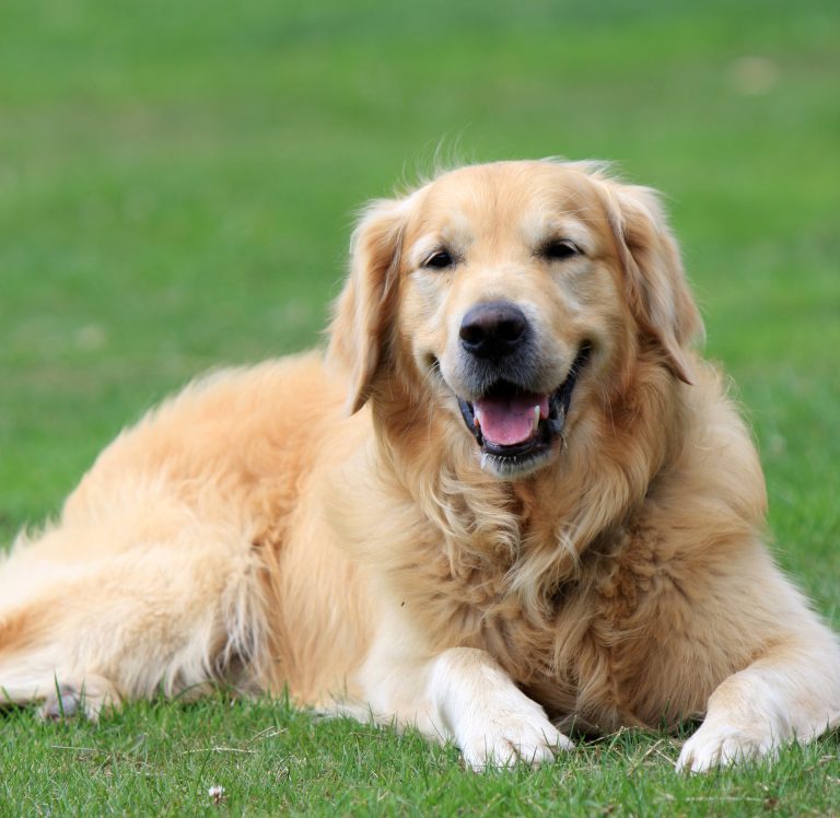 Slot Bankroll Tips Guide 2026